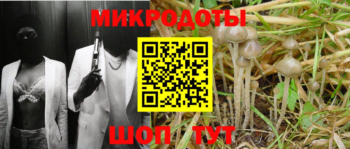 Зеленокумск  Галлюциногенные грибы GOLDEN TEACHER  магазин    Вход с VPN 