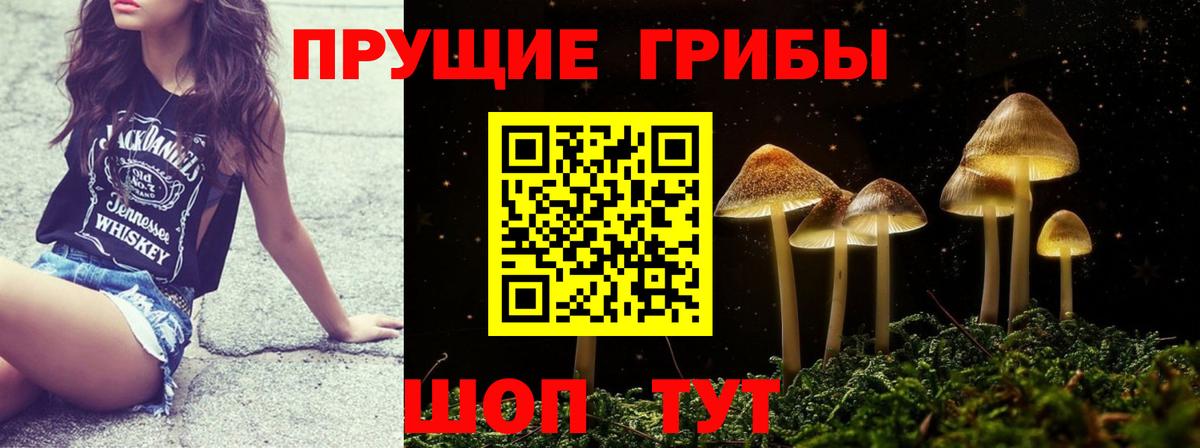 Псилоцибиновые грибы ЛСД Зеленокумск