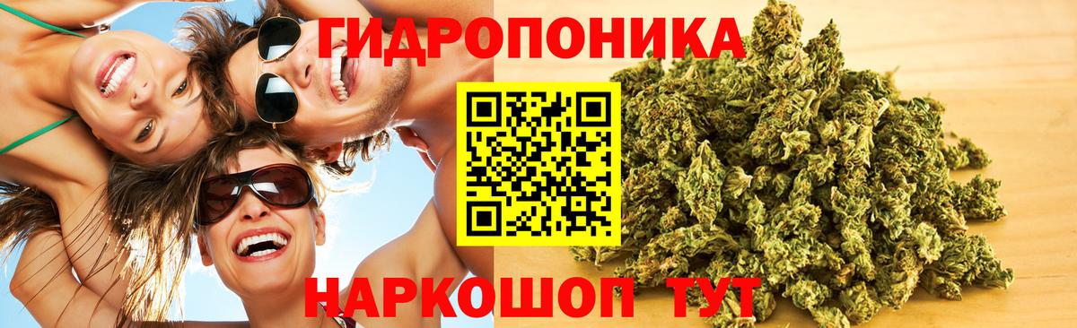 Зеленокумск  Конопля OG Kush  МАРИХУАНА гибрид  Вход с VPN  МАРИХУАНА семена  Каннабис Bruce Banner 